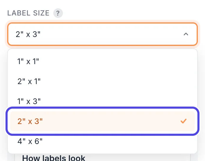 The Label Size list open with five choices: 1 by 1, 2 by 1, 1 by 3, 2 by 3 and 4 by 6. The 2 by 3 choice is circled.